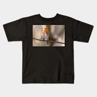 Robin gaze Kids T-Shirt